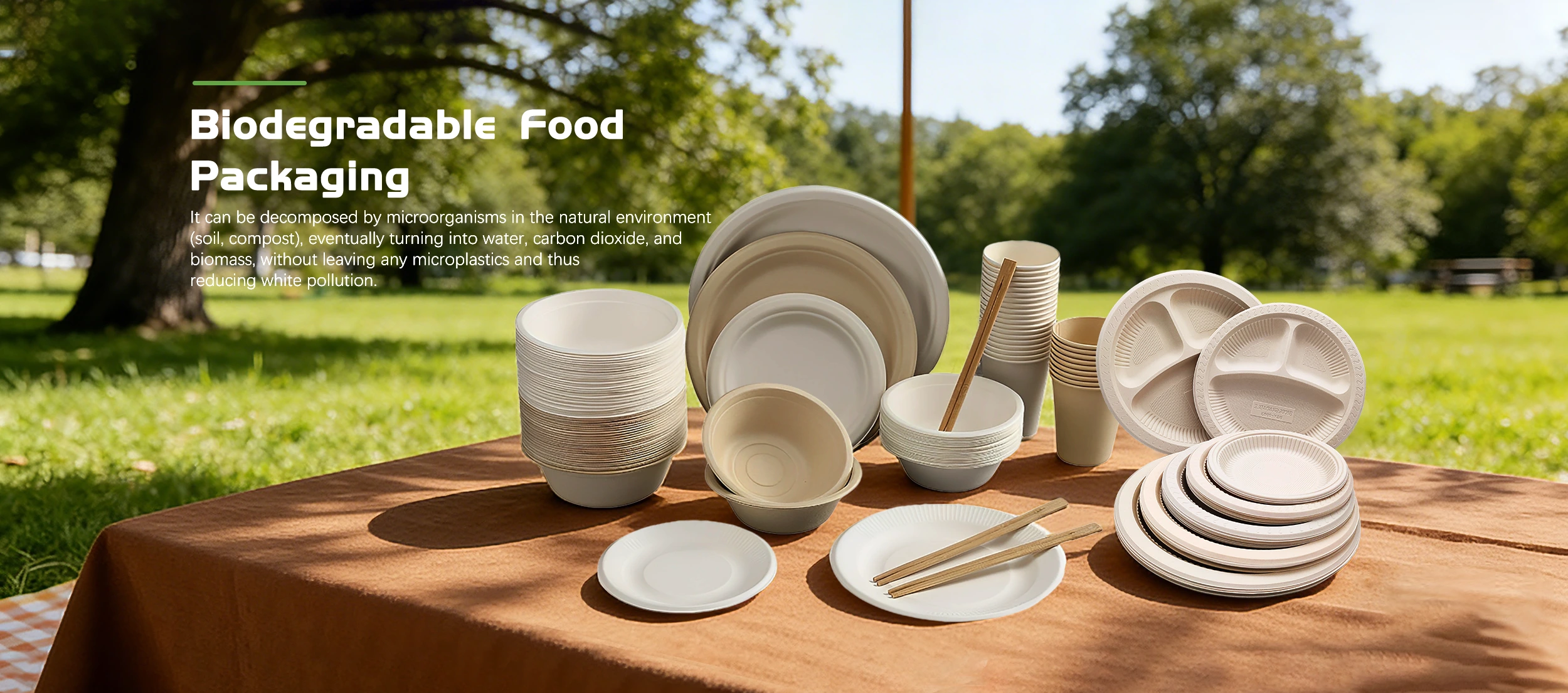 Kinas biologisk nedbrydelige fødevareemballageleverandør